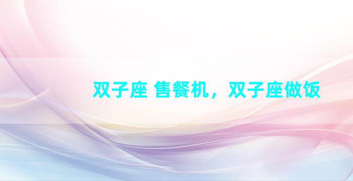 双子座 售餐机，双子座做饭